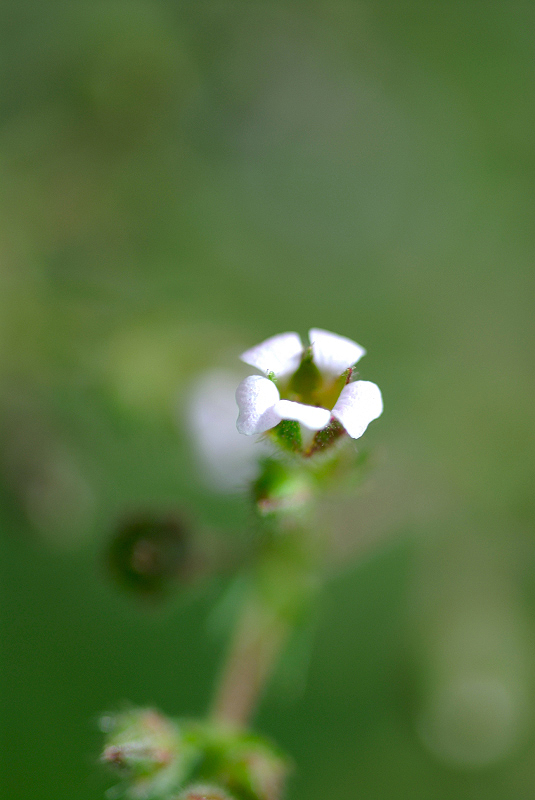 image0139