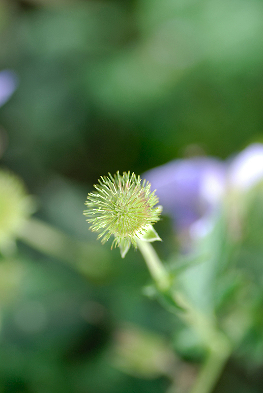 image0141