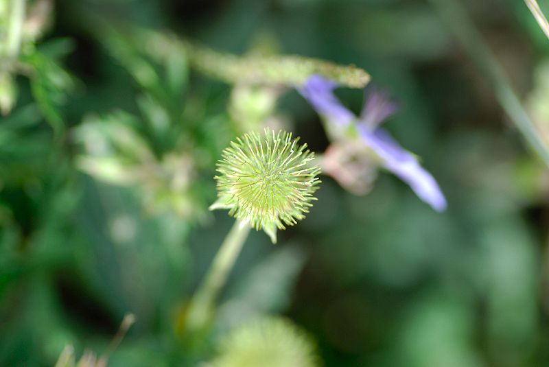 image0142