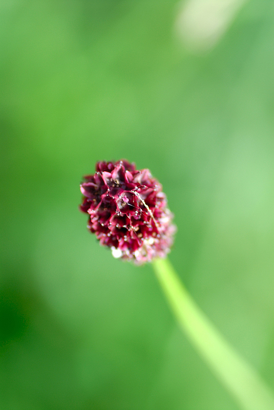 image0145