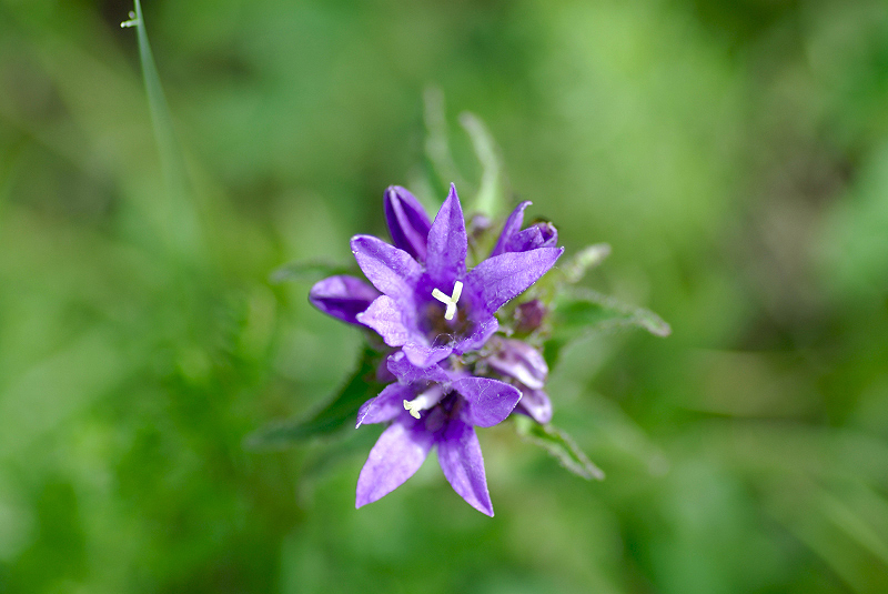 image0146
