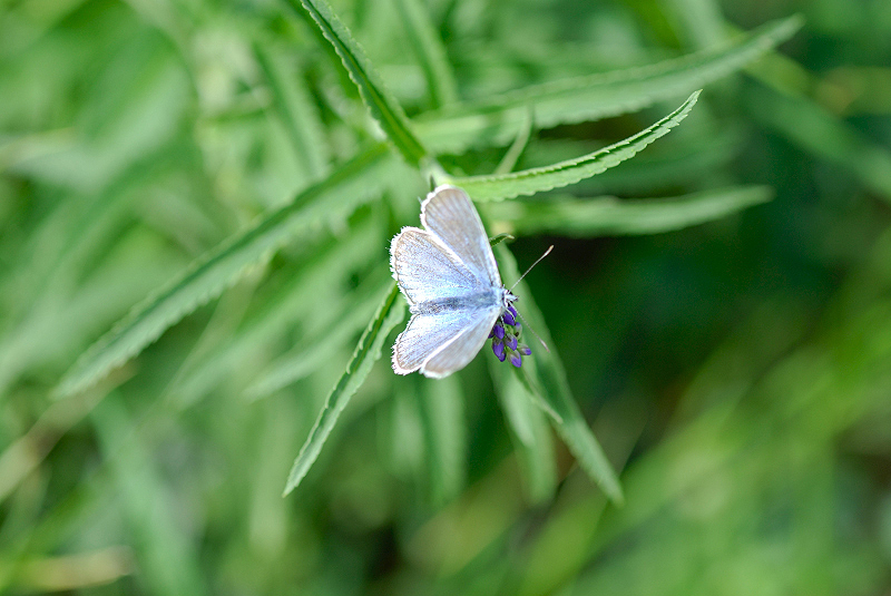 image0147