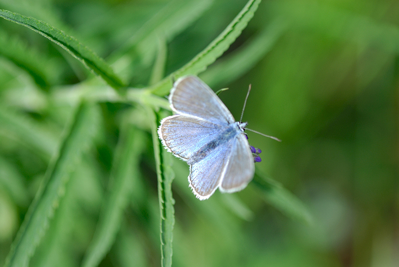 image0148