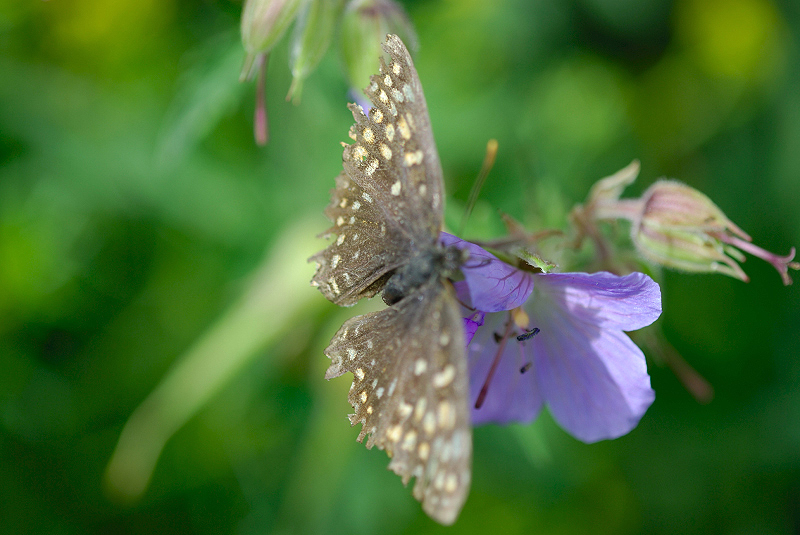 image0149