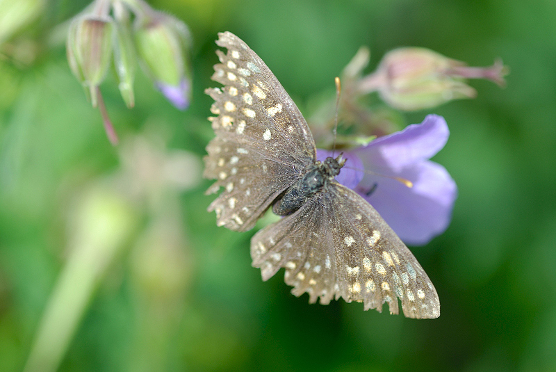 image0150