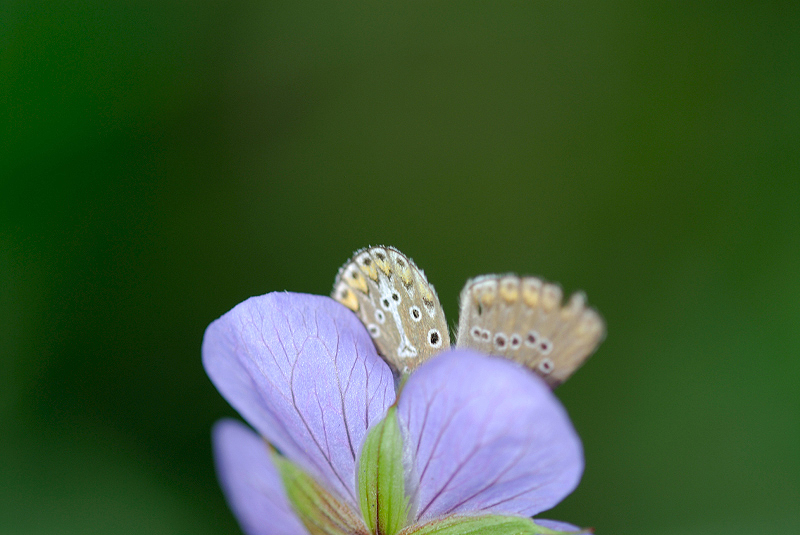 image0151