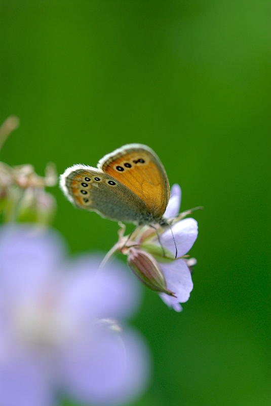 image0152