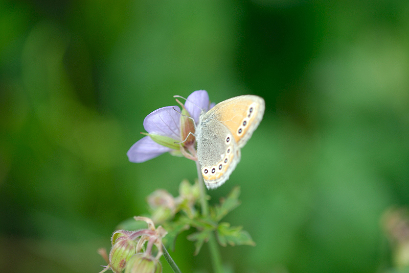 image0153