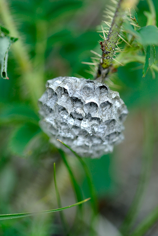 image0154