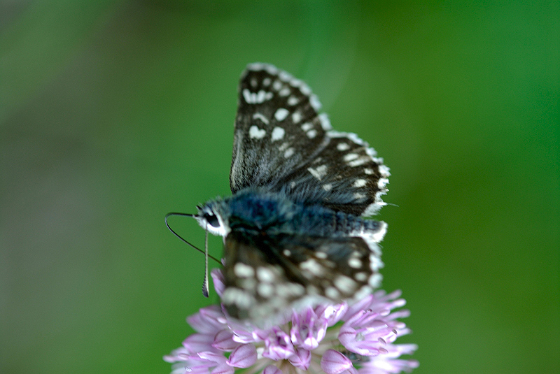 image0156