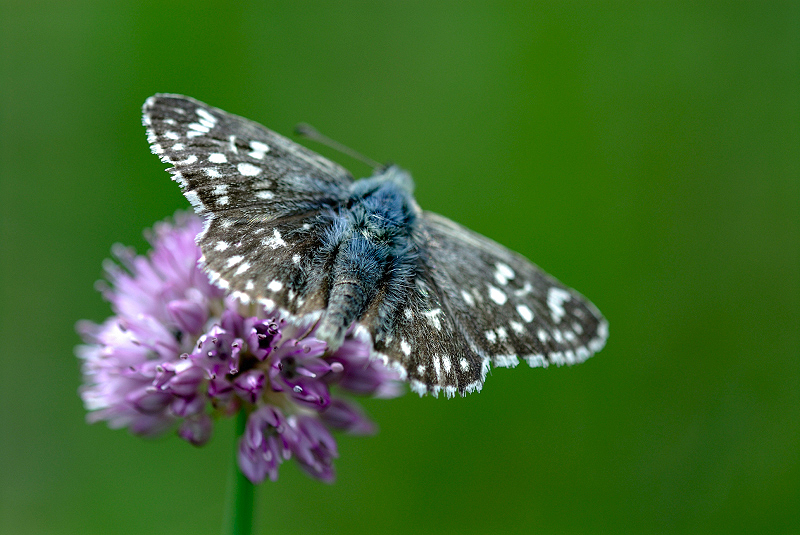 image0158