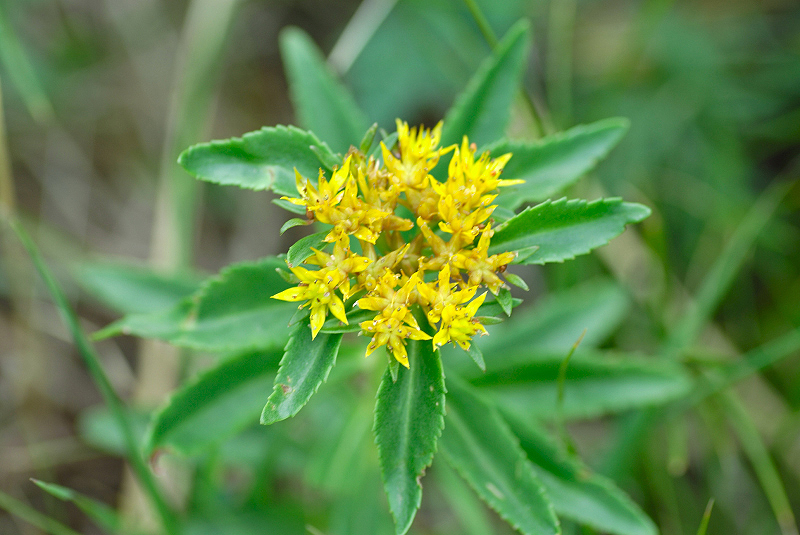 image0159