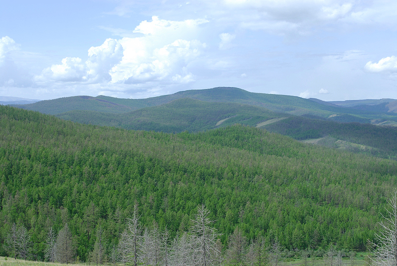 image0171