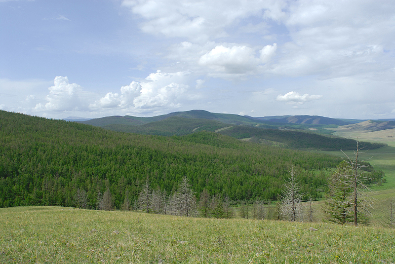 image0174