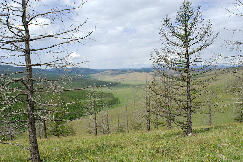 image0175