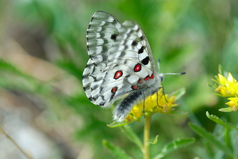 image0192