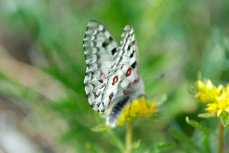 image0193
