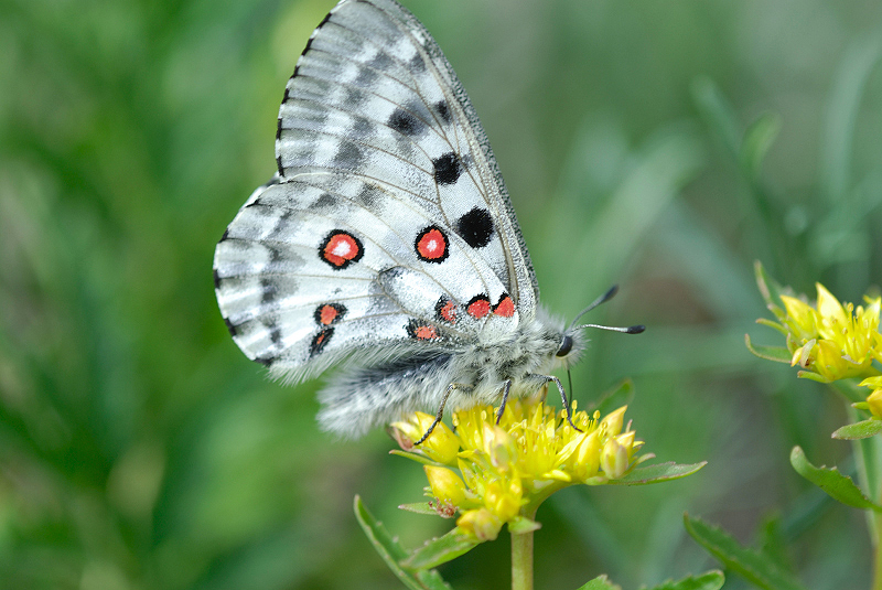 image0196