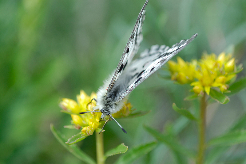 image0199
