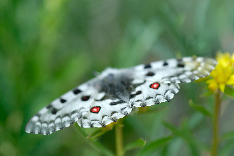image0200
