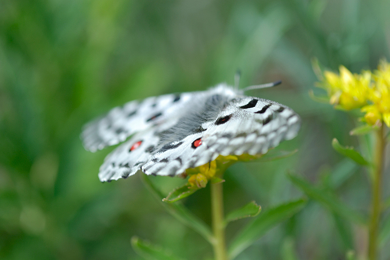 image0201