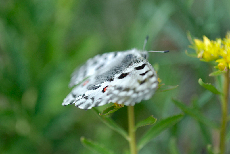 image0202