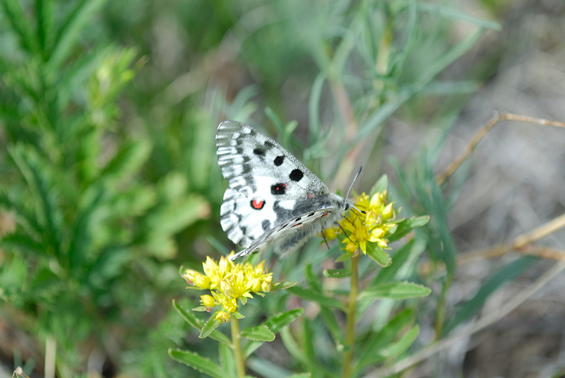 image0203