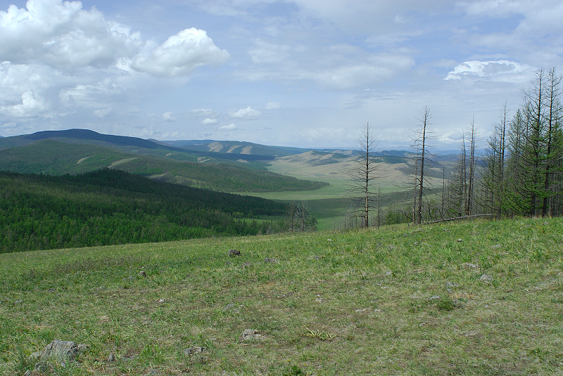 image0213