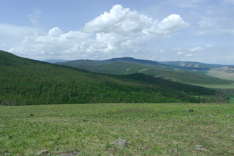 image0214