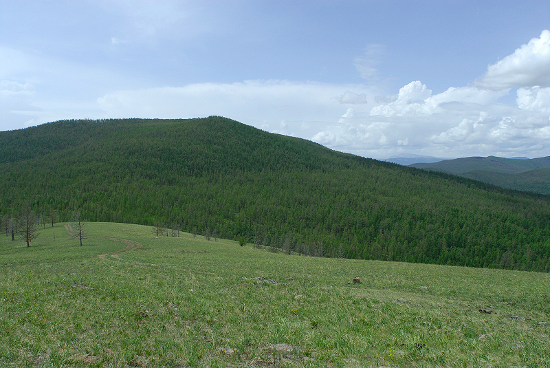 image0215