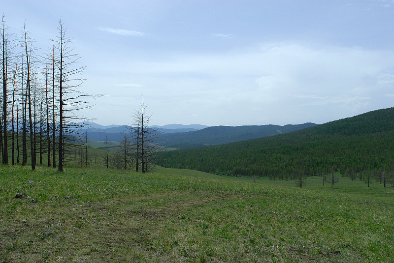 image0216