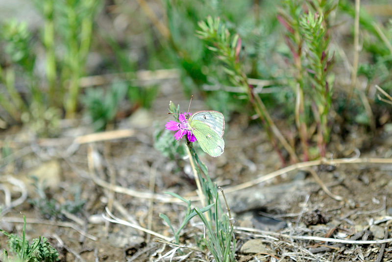 image0217