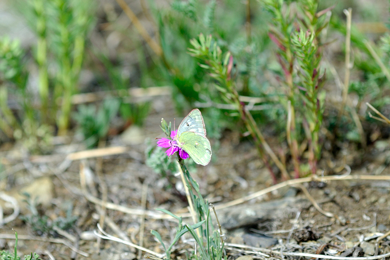 image0218
