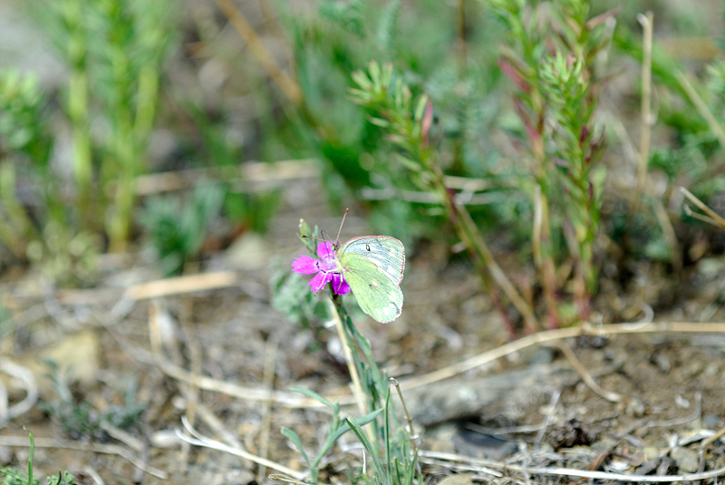 image0219