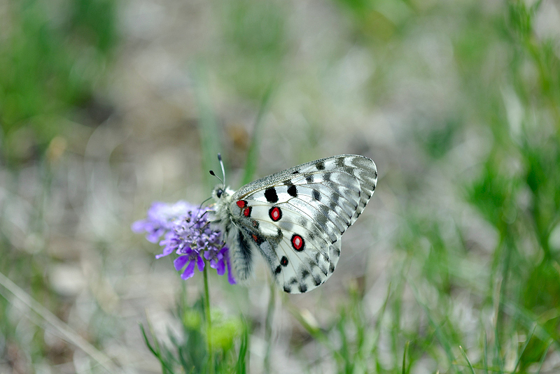 image0220