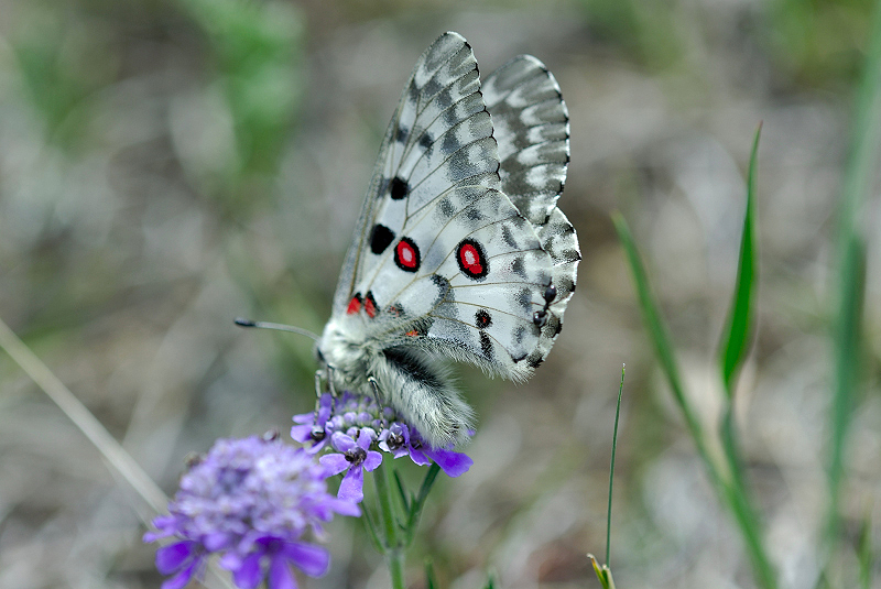 image0222