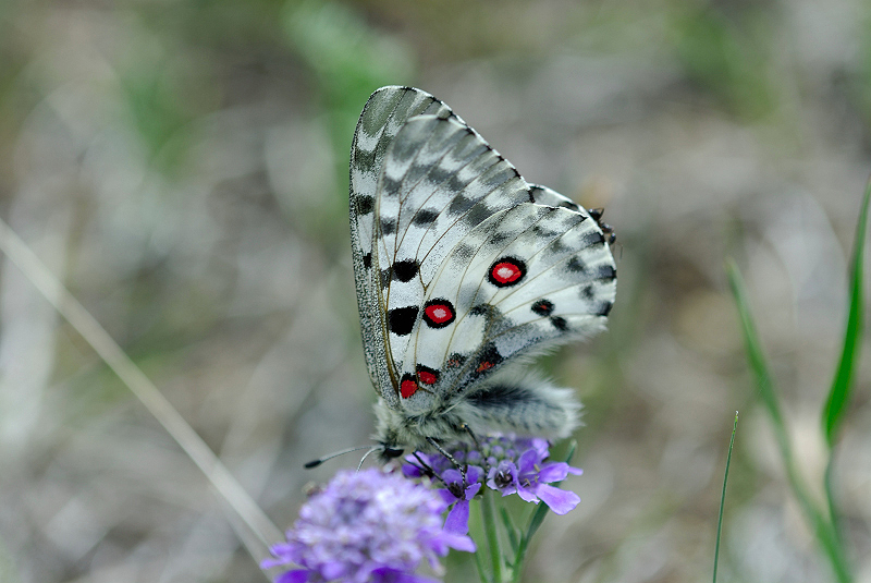 image0224