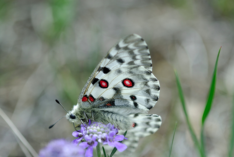 image0225
