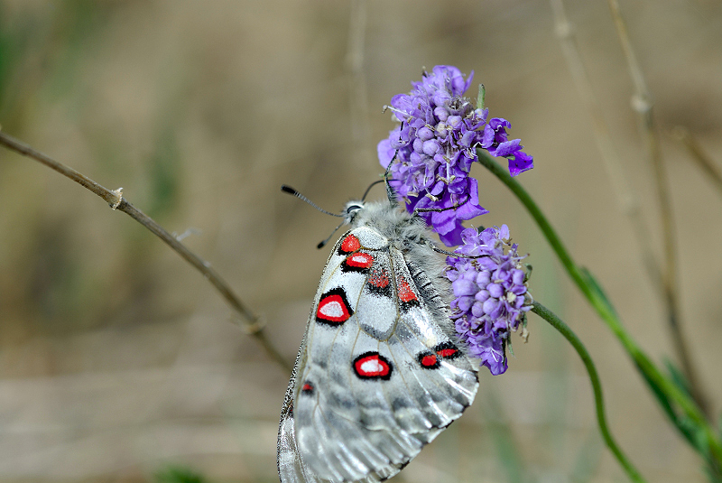 image0231