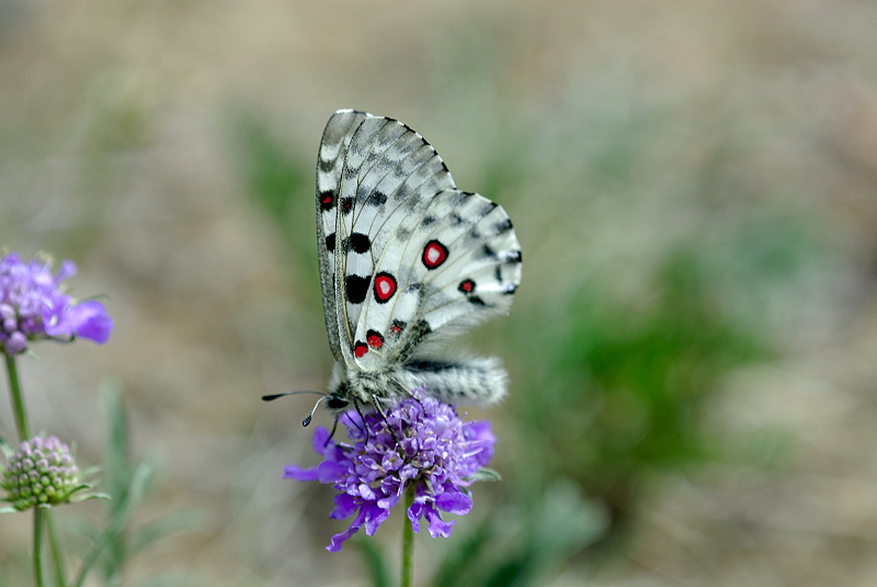 image0232