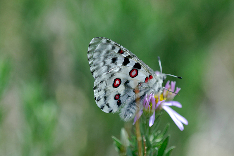 image0234