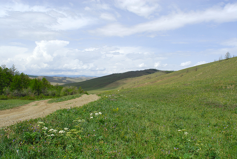 image0238