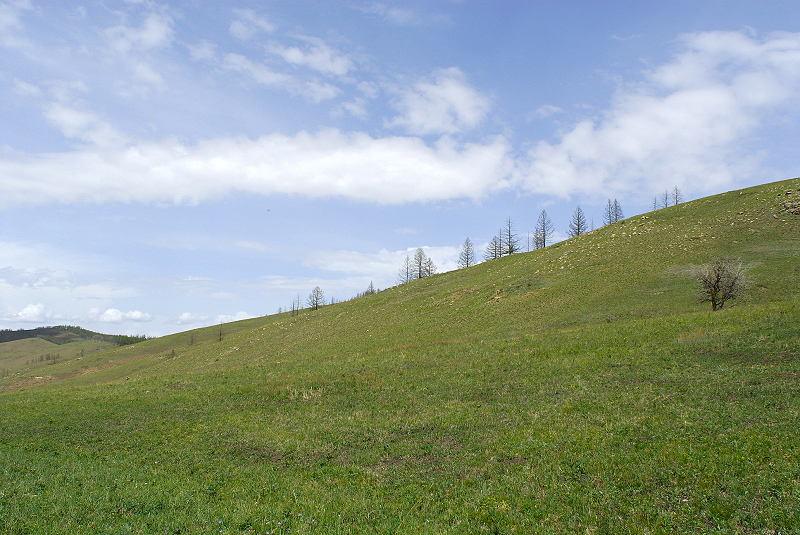 image0239