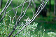 image0098