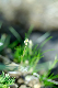image0119