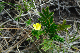 image0128