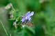 image0130