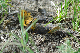 image0131