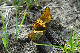 image0134
