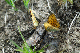 image0136
